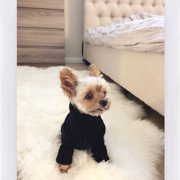 🖤 Meet your Posh Ambassador - Picture 6 of 10